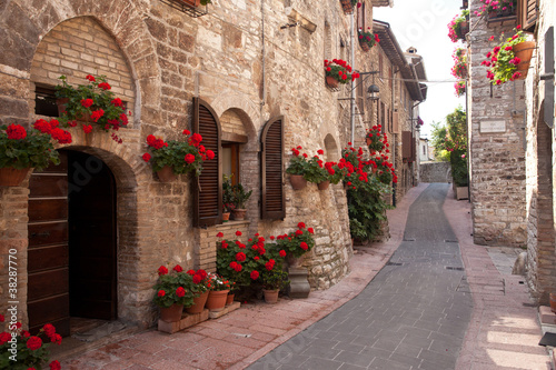 Naklejka na drzwi Assisi