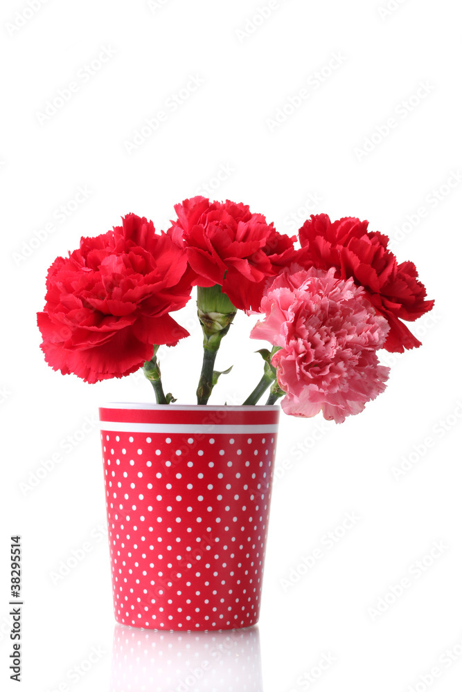 Bouquet of carnations in a glass isolated on white