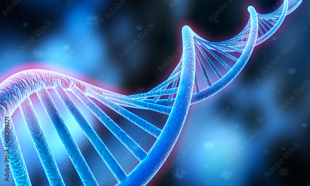 DNA-Strang - obrazy, fototapety, plakaty 