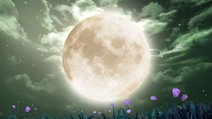 large moon and flowers