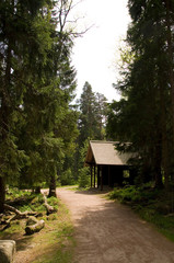 Wall Mural - Wanderweg im Schwarzwald