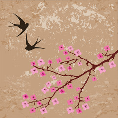 Wall Mural - vector swallows and blossom branch