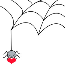Spider Web And Heart