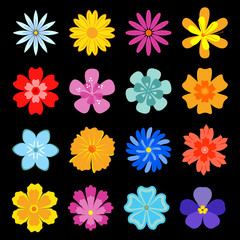 Poster - Set of flower blossoms