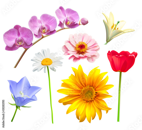 Obraz w ramie Flower vector set