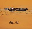 Leinwandbild Motiv Camp in desert