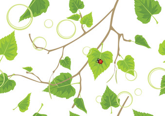 Wall Mural - Birch sprig. Decorative spring background