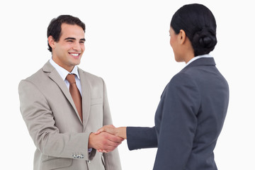 Aufkleber - Smiling businessman shaking hand of businesspartner