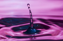 Purple Water Drop