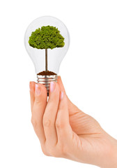 Sticker - Hand with lamp and tree