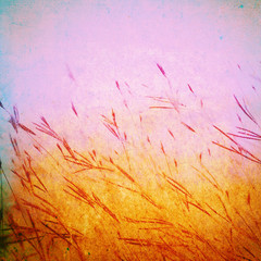 Grunge grass field on canvas texture