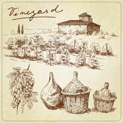 Wall Mural - hand drawn vineyards