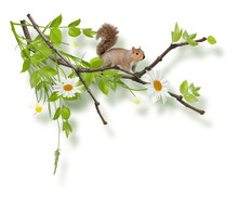 Isolated Painted Composition With Squirrel On Tree