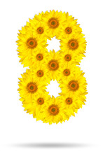 Number Eight Made Of Sunflower