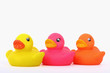 Colourful rubber ducks
