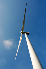 Wall Mural - windturbine