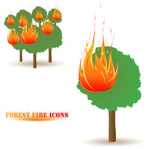 Forrest Fire Icon