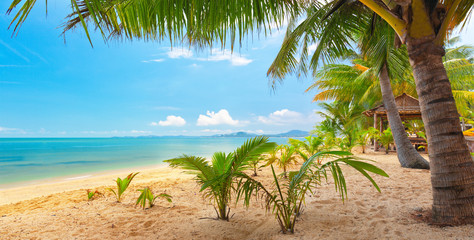 Wall Mural - tropical beach. koh samui, thailand, maenam beach