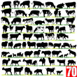 Dairy Cattle Silhouettes Set