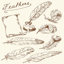 Feathers, Scroll, Old Times