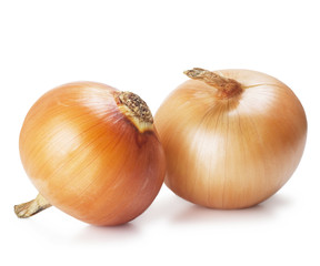 Sticker - onions