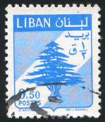 Poster - Cedar of Lebanon