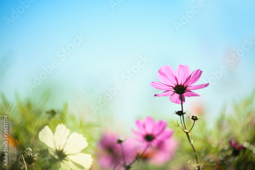 Natural background