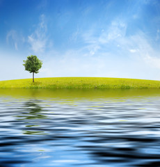 Panorama of green field with a tree on blue sky background