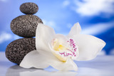 Fototapeta Desenie - Still life, with orchid flower, zen