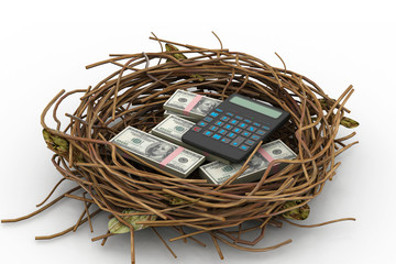 Dollar and calculator protected in nest