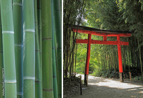 Fototapeta do kuchni diptyque sur le thème du bambou et du jardin japonais