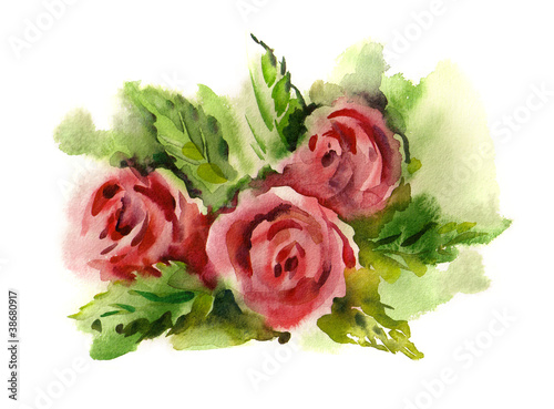 Fototapeta na wymiar Watercolor -Rose-