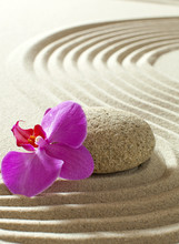 Zen Flower On Sand