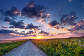 Wall Mural - Colorful summer sunrise in the countryside with road