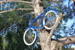 bike up a tree
