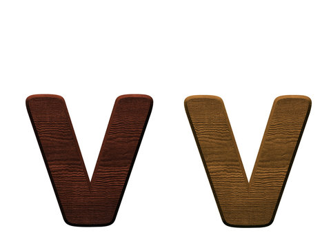 one letter of wooden alphabet.