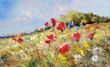 © bittedankeschön - painted poppies on summer meadow