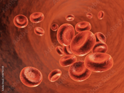 Fotomural Blood flow - Red blood cells