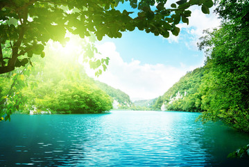 Canvas Print - lake in deep forest