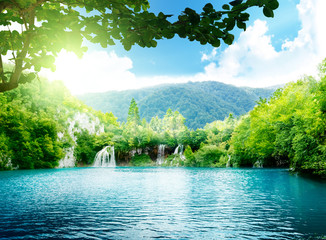 Canvas Print - lake in deep forest