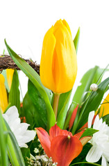 Wall Mural - bouquet of yellow tulip flowers isolated on white background