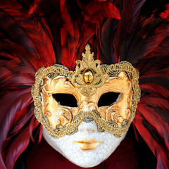 Venetian Carnival Mask