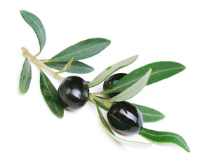 olive
