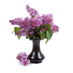 Lilac bouquet in a black vase