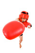 © cristovao31 - Top view of young Boxer fighter with boxing helmet and gloves ov