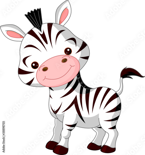 Fun zoo. Zebra