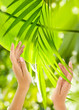 Beautiful Female Hands on the green background