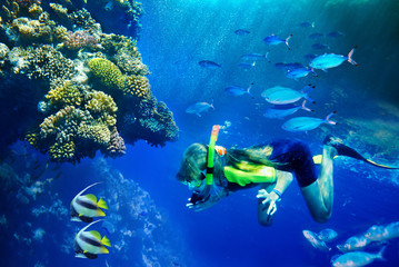 Group of coral fish in  blue water.