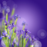160_f_38971164_ep6fsartfpz2oaajwolv9dccn0fwta9x