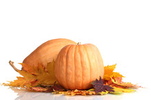 Two Ripe Pumpkins And Autumn Leaves Isolated On White